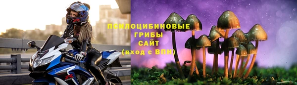 Альфа ПВП Вязьма