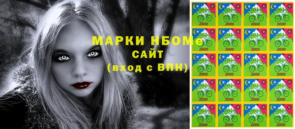 мдпв Вяземский