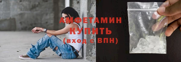 мдпв Вяземский