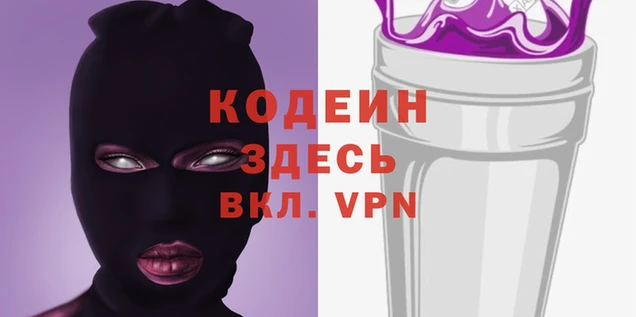 мдпв Вяземский