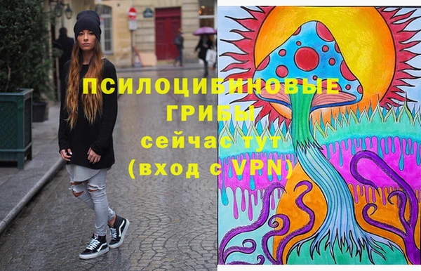 Альфа ПВП Вязьма