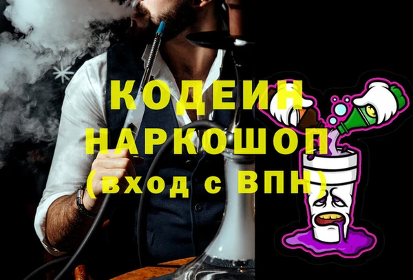 мдпв Вяземский