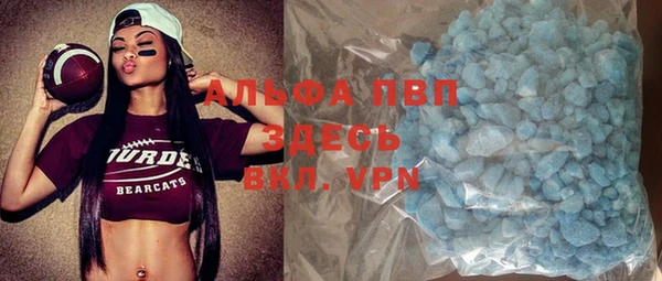мдпв Вяземский