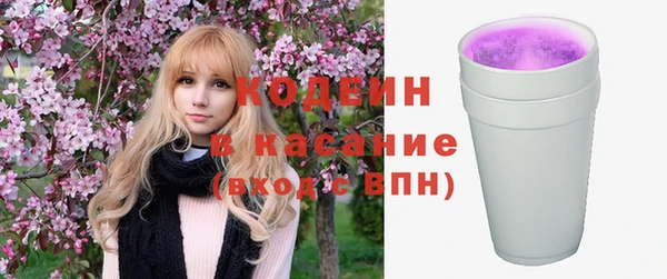 мдпв Вяземский