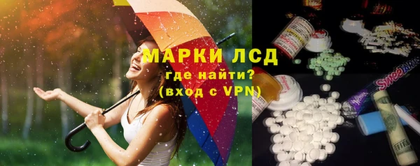 мдпв Вяземский