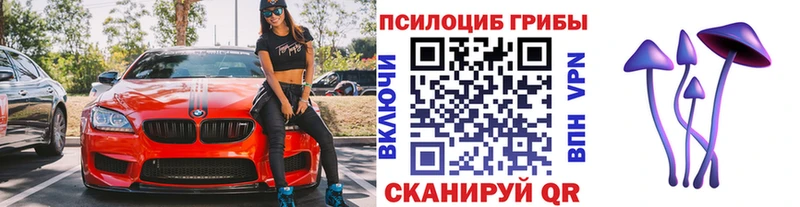 Галлюциногенные грибы GOLDEN TEACHER  Купить  Лукоянов 