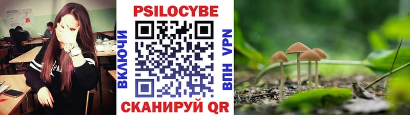 Псилоцибиновые грибы Cubensis Лукоянов
